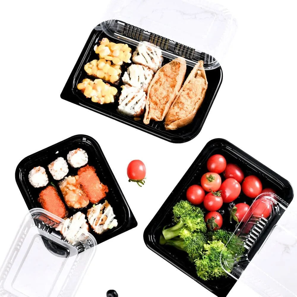 Disposable Plastic Takeaway Meal Salad Storage Lunch Box