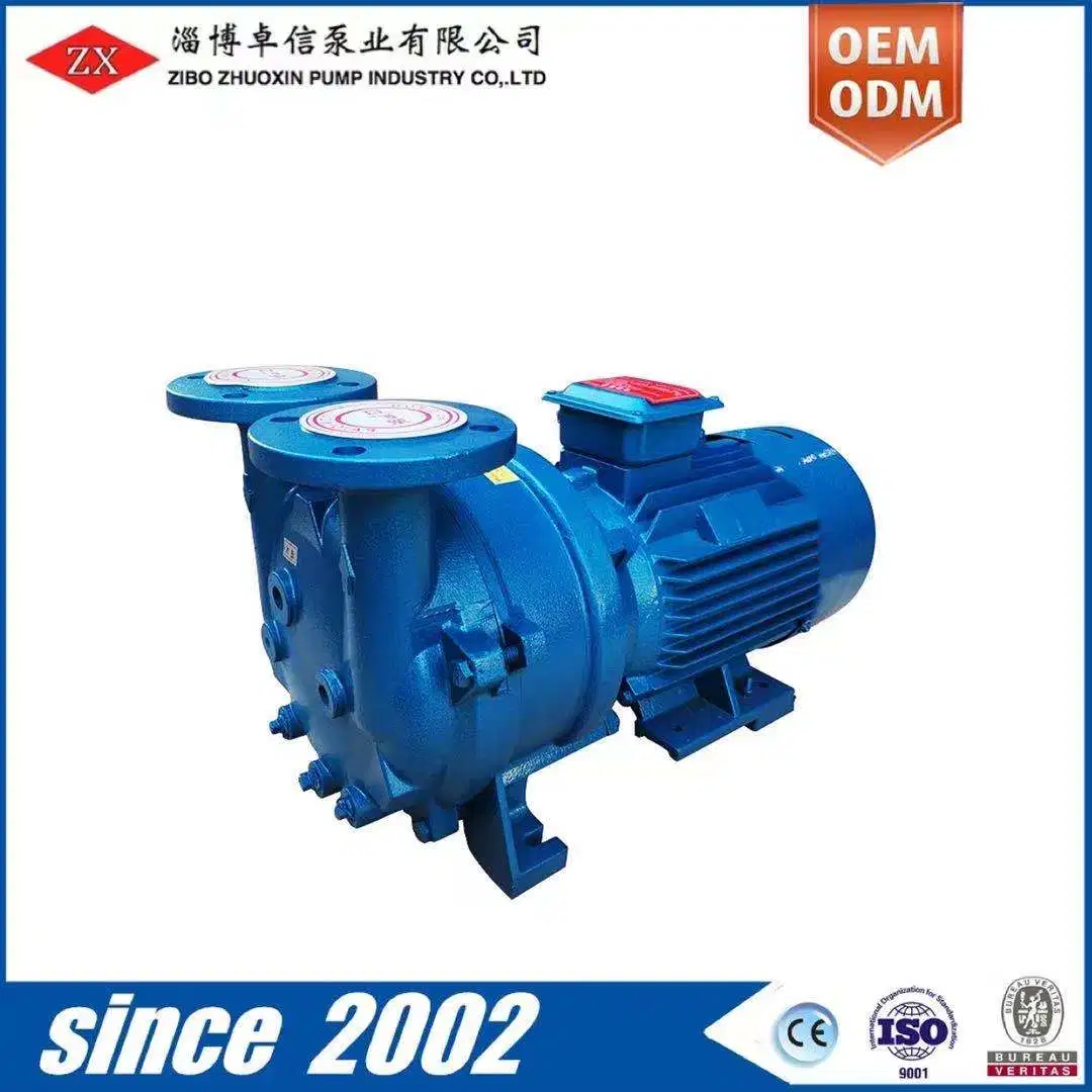Pump & Vacuum Equipment From Zibo Zhuoxin Pump with Lrvp Vacuum