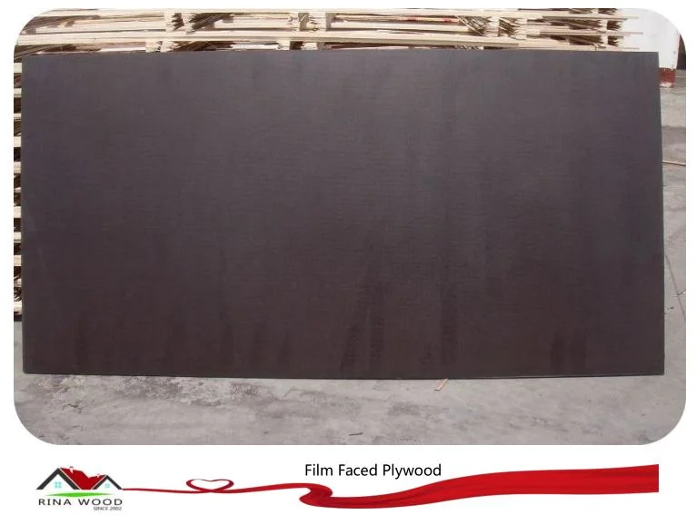 Black Film Poplar Core Marine Plywood to Dubai Market