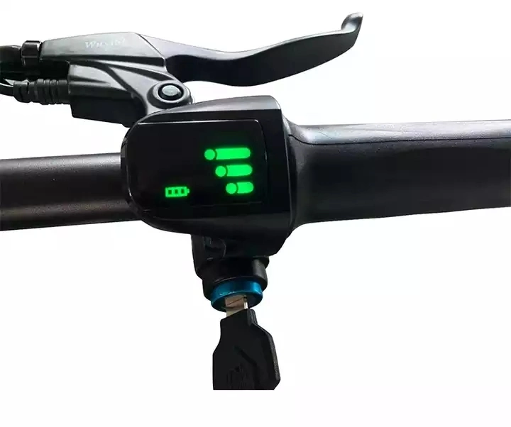 China Popular 350W Ebike personalizada de la Grasa de plegado eléctrico neumático de bicicleta bicicleta plegable grasa eléctrico