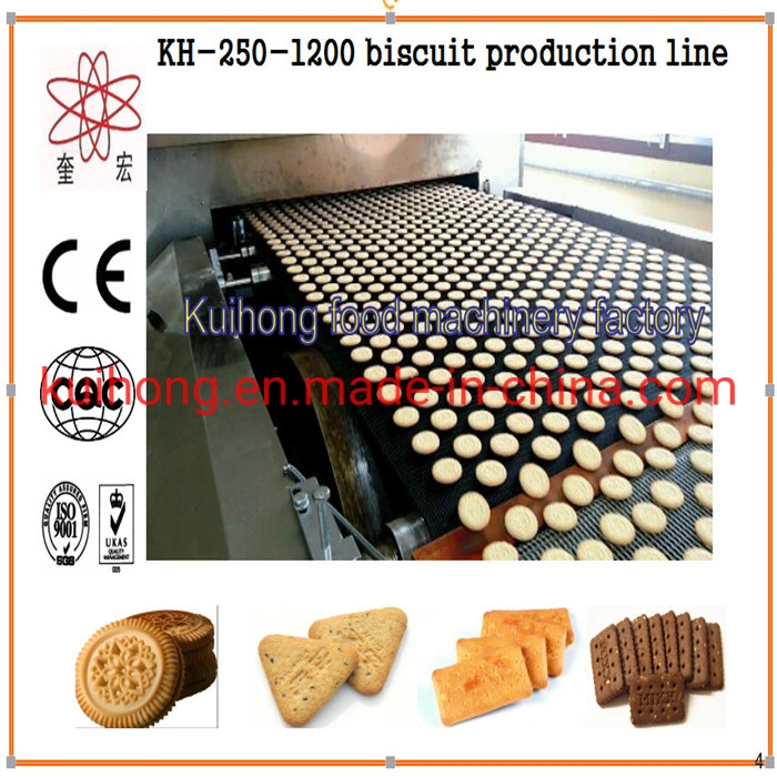 SUS304 Soft and Hard Biscuit Making Machine