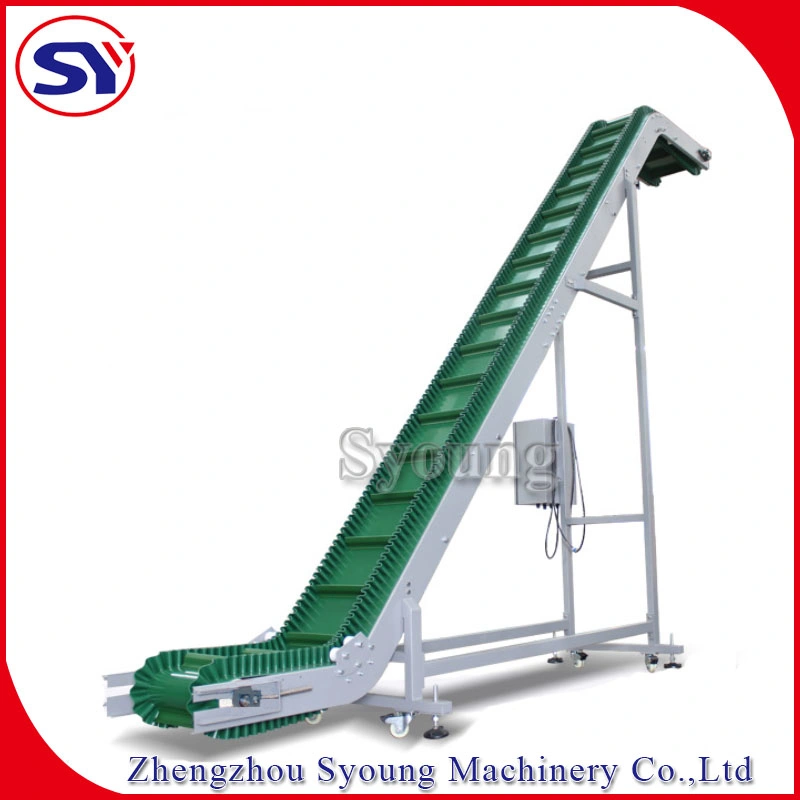 Incline Stainless Steel Belt Conveyor System with Flights