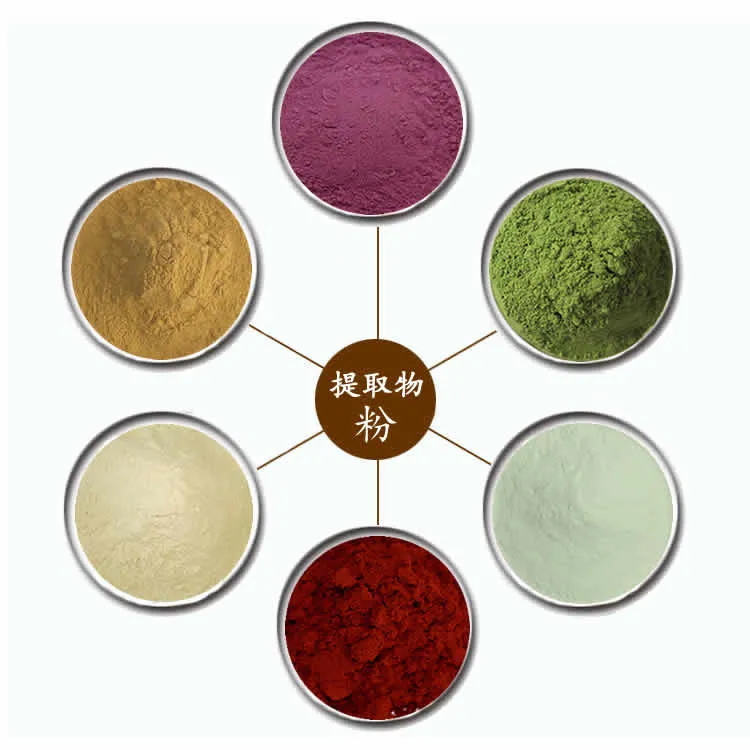 Supply Stable Quality Natural Herbal Radix Angelicae Pubescentis Extract Powder