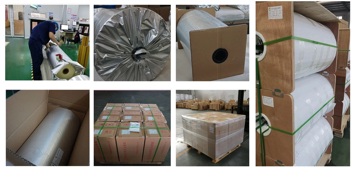 Plastic Packaging Materials for Food Ppt -Nylon