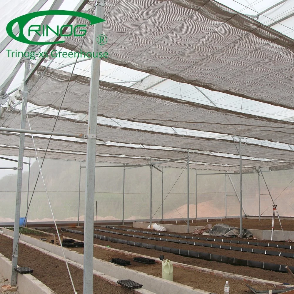 Multi-span Large Agricultural Film Greenhouse with High quality/High cost performance 