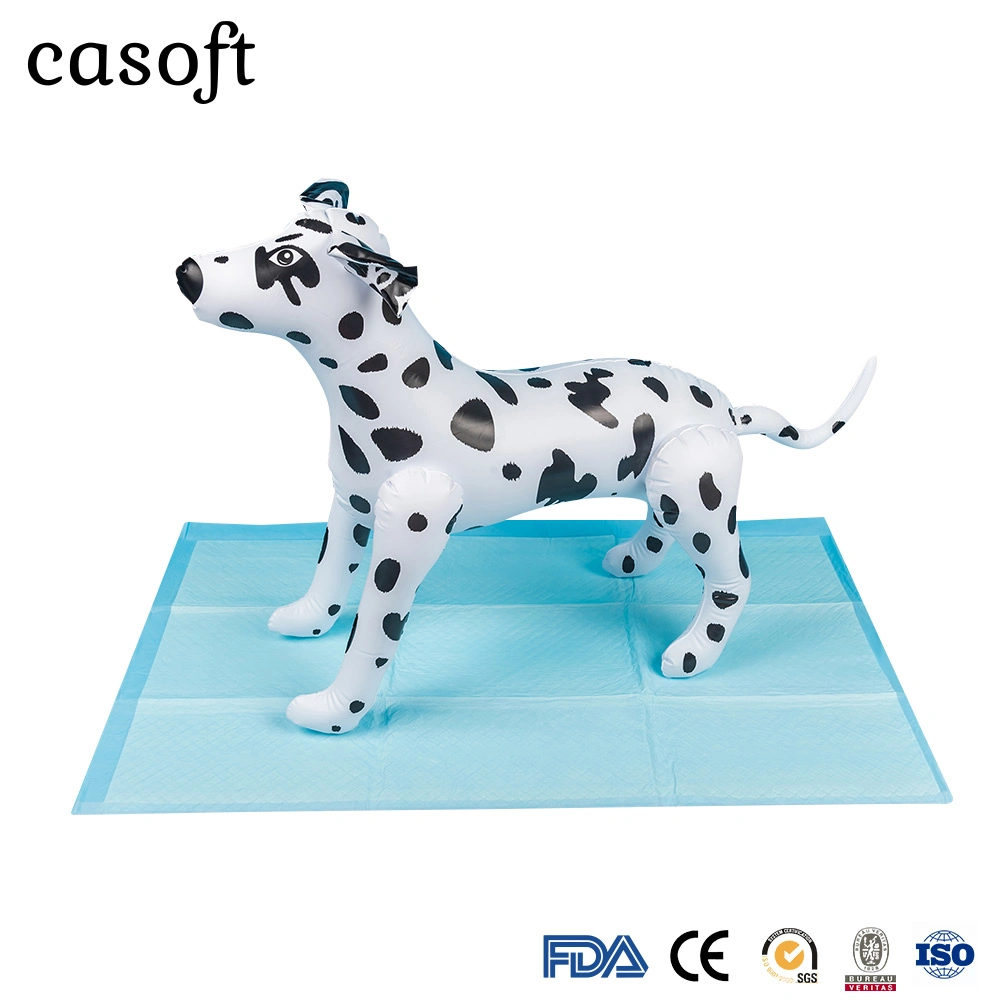 Hersteller Casoft Best Selling Training High Absorption Einweg Indoor Voll Größe Pet PISSE Pads liefern Japan Korea