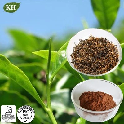 Polyphenols 25%, 40% Black Tea Extract