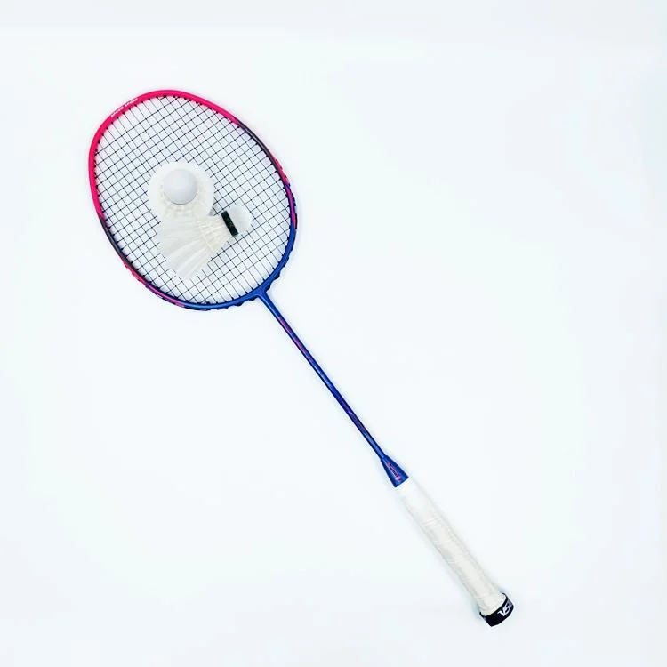 Dmantis D7 Wholesale/Supplier Professional Level Good Quality Badminton Racket Chinese Factory Direct Sale Customization