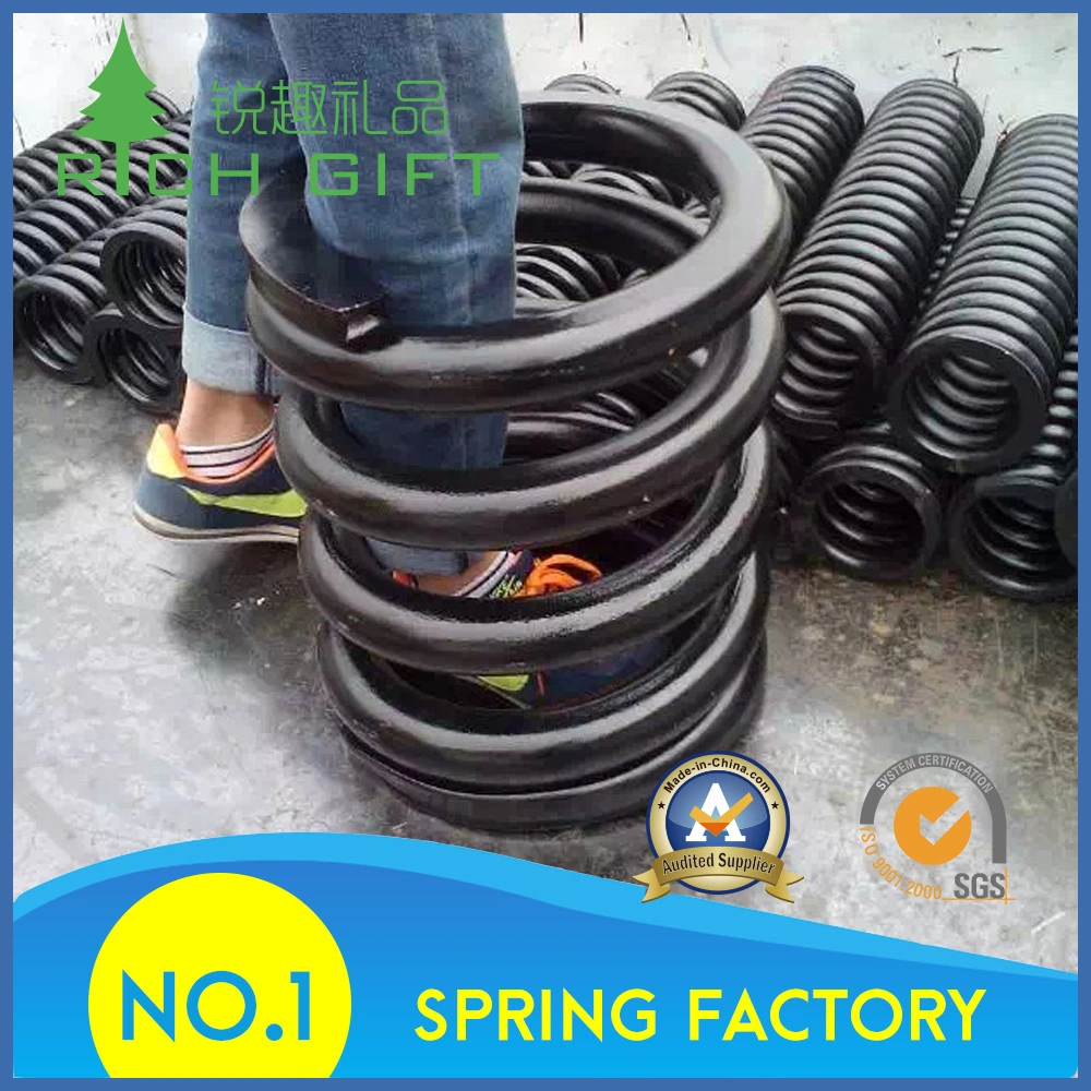 Variable Force Spring with Good Quality and Fast Delivery