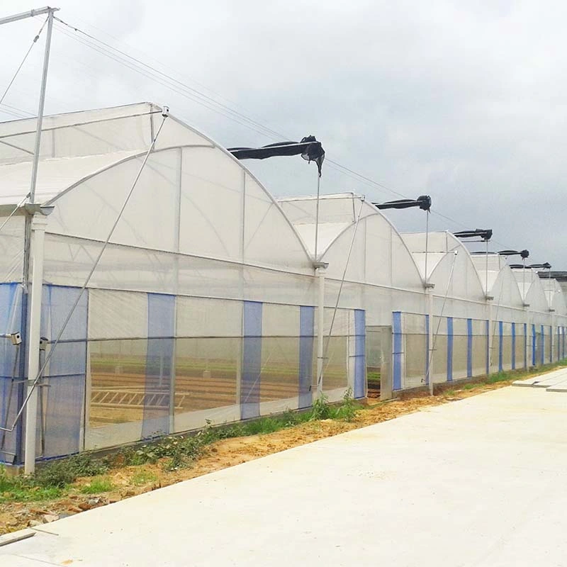 Jardín / túnel de la Agricultura película plástica Casa verde para el cultivo de flores vegetales