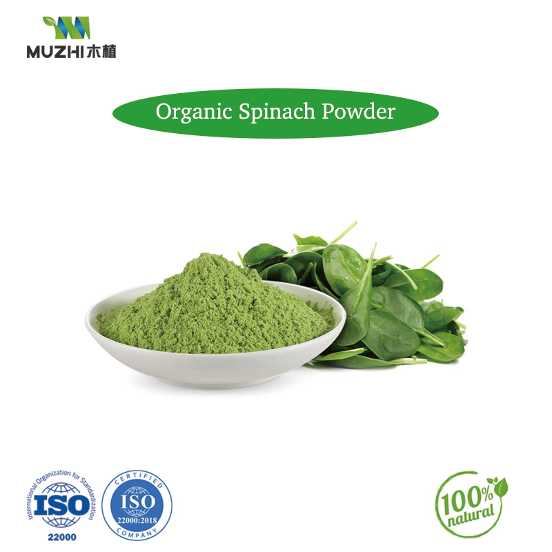 Organic Spinach Powder Natural Herbal Plant Extract