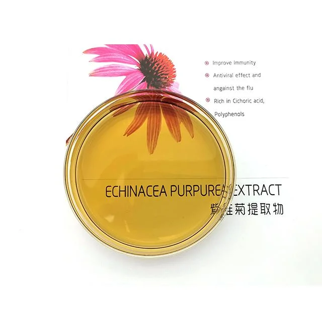 Free Samples! Top Manufacturer of Echinacea Purpurea Extract Powder Cichoric Acid Echinacea Purpurea Extract