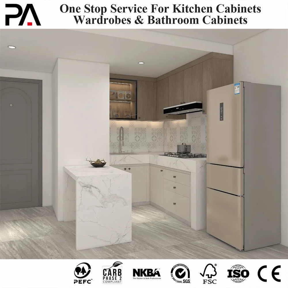 PA Cheap Ready Made Apartment Small Kitchen Layout Design Modern Made in China Cabinet Kitchen