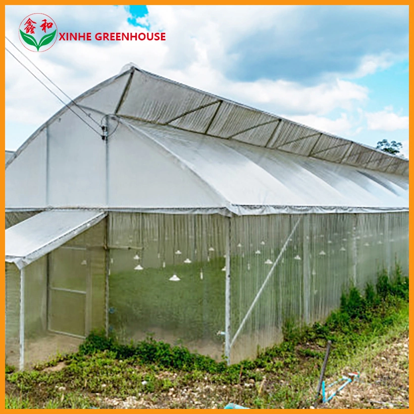 Plastic Film Indent Flower Vegetables Warm Agro Multi Span Farden Greenhouses