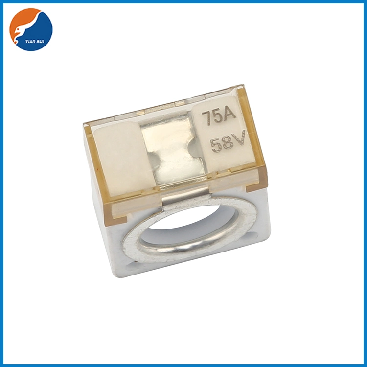 100A 200A 300A 400A 500A Terminal Fuses Ceramic Mrbf Marine Battery Fuse for Power Inverter