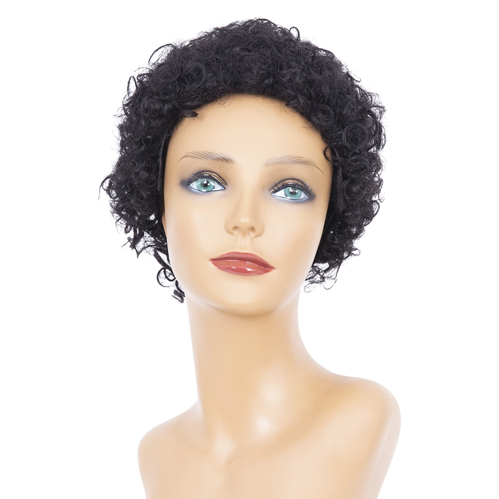 Pixie Cut Style Wig Brazilian Afro Kinky Curly Human Hair Wigs