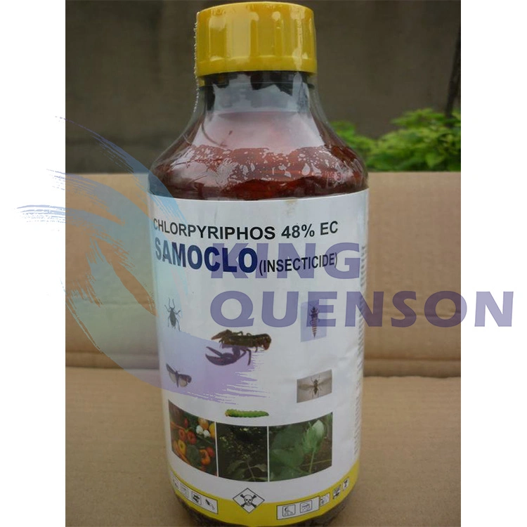 King Quenson insecticida plaguicida de alta eficacia 97% TC Chlorpirifos 25% WP