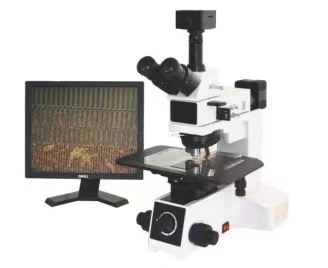 Dic Microscope d'interférence différentielle