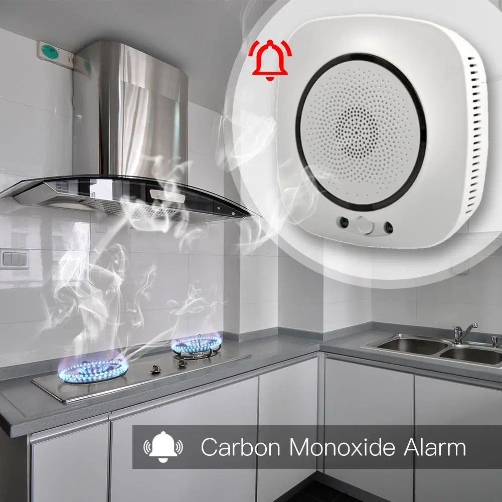 Co Gas Leakage Sensor Security Alarm System