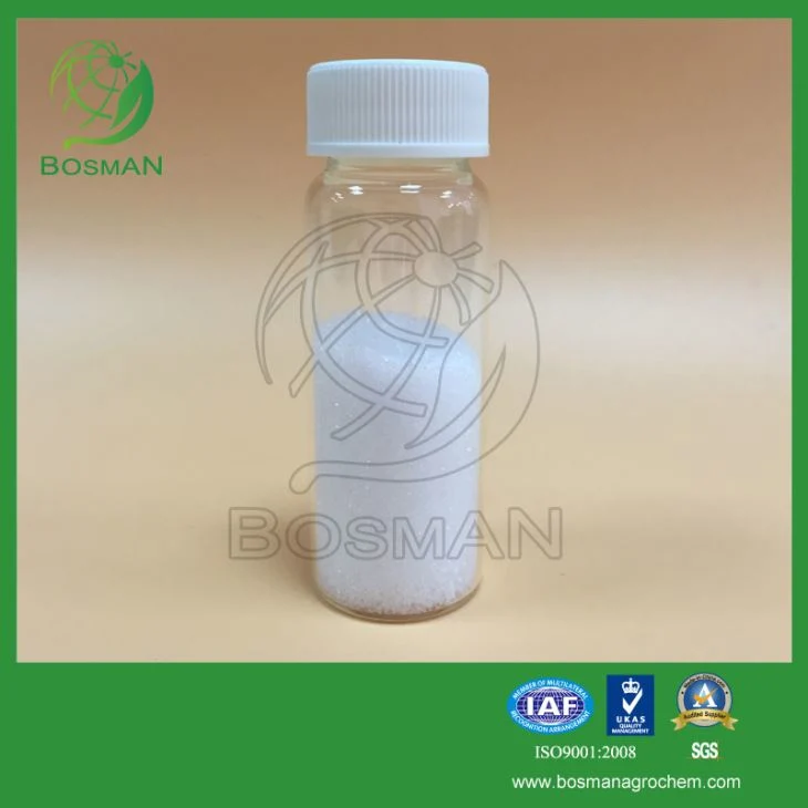 Kasugamycin 2% SL Fungicide & Bactericide