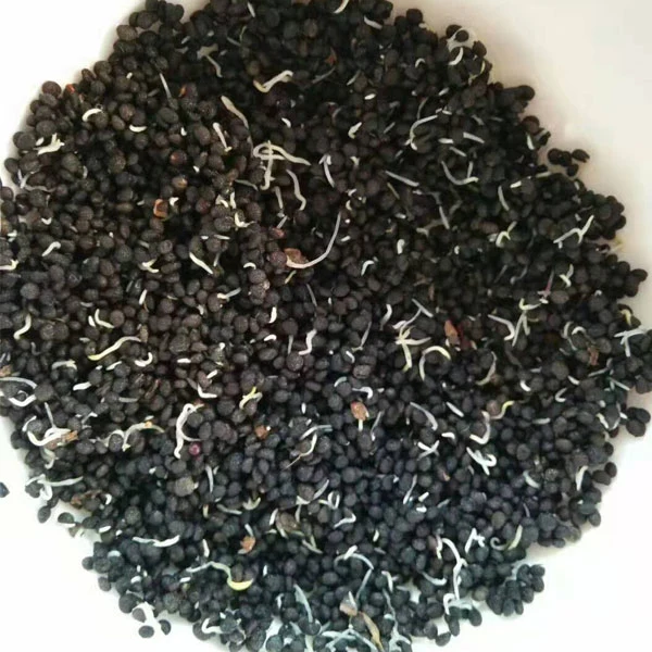 Touchhealthy Supply Pseudostellaria Heterophylla Seeds/Radix Pseudostellariae Seeds