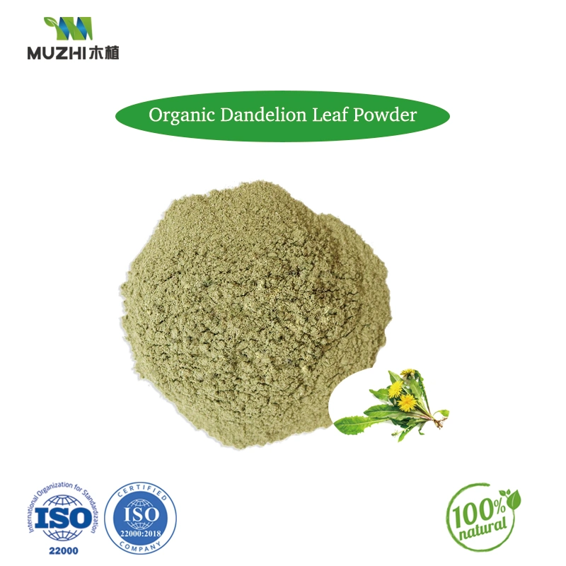 Dandelion Leaf Powder Natural Herbal Plant Extract