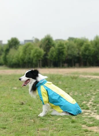 Wholesale/Supplier Superior Quality Pet Products Outdoor Dog Clothing Dog Raincoat