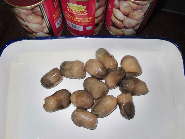 Healthy Foods Canned Fresh Straw Mushroom Whole in Tin Packing