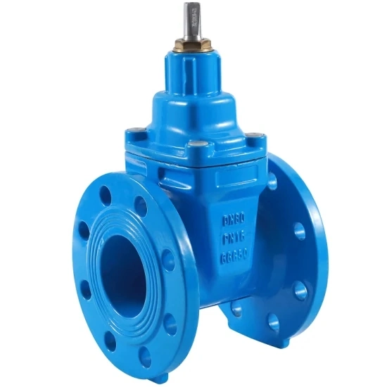 Sewage Water|Clean Water Pipe Resilient Seated Gate Valve