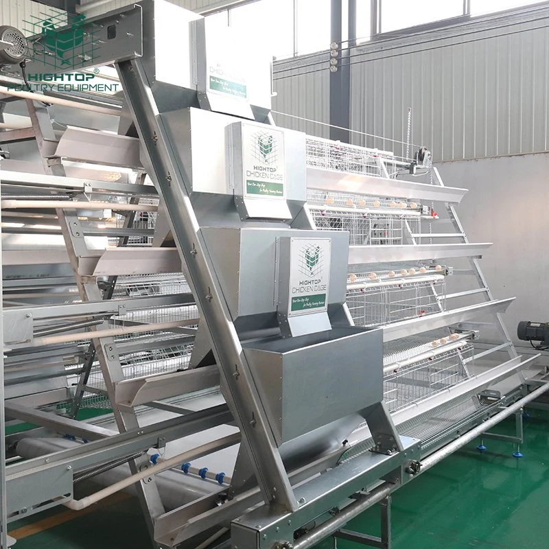 A Type Automatic Layer Egg Chicken Cages Poultry Farming Equipment System For Sale