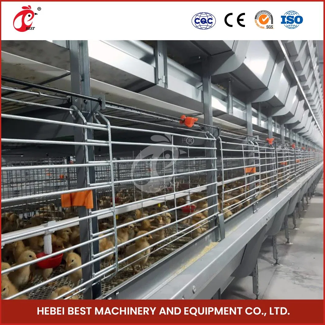 Bestchickencage China Chicken Laying House Factory H Frame Automatic Boriler Cages ODM Custom Acrylic Material 8h Fully Automated Battery Layer Chicken Cages