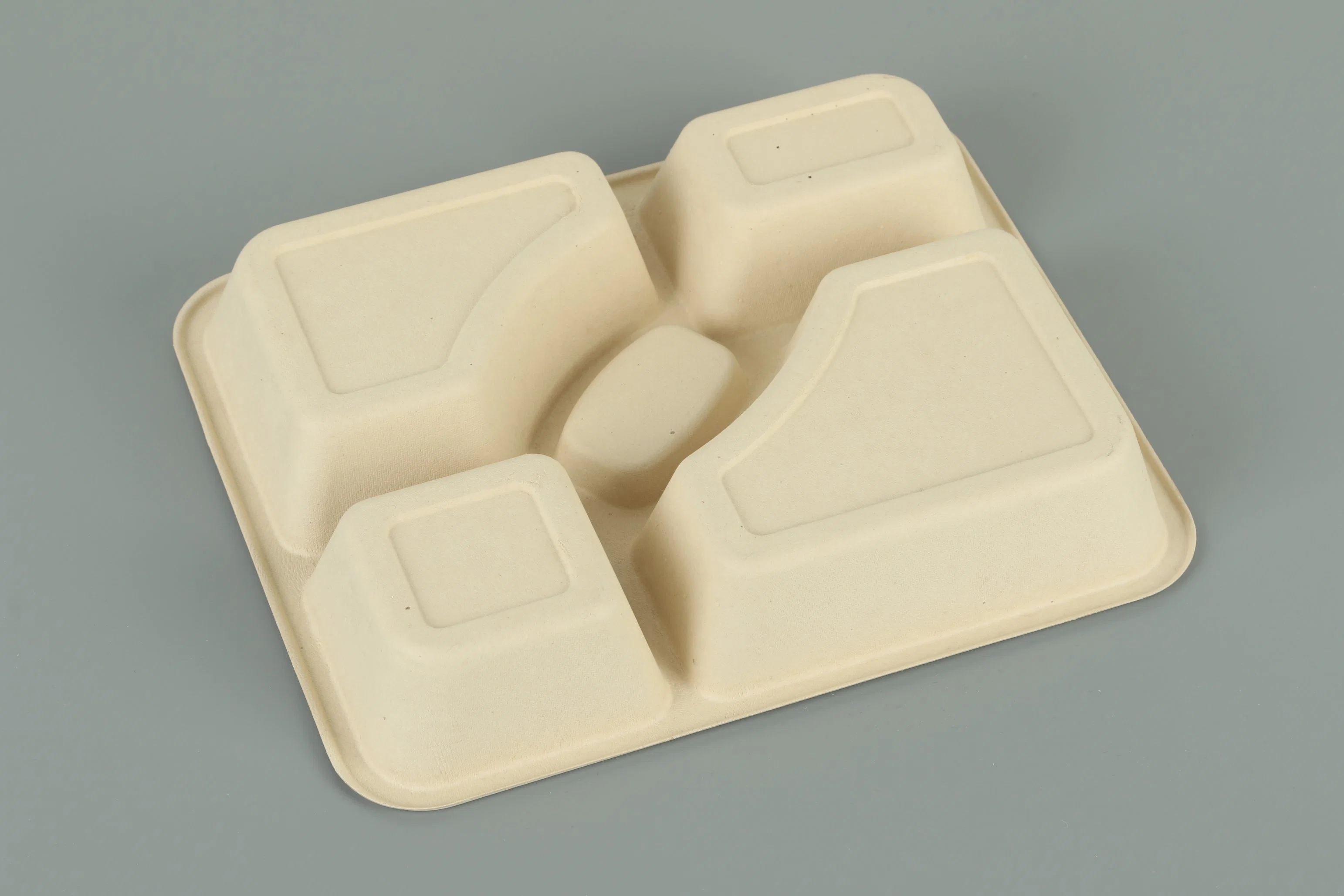 Eco Friendly Cheap Bulk Disposable Bamboo 5 Compartment Food Tray Biodegradable Bamboo Fiber Food Container