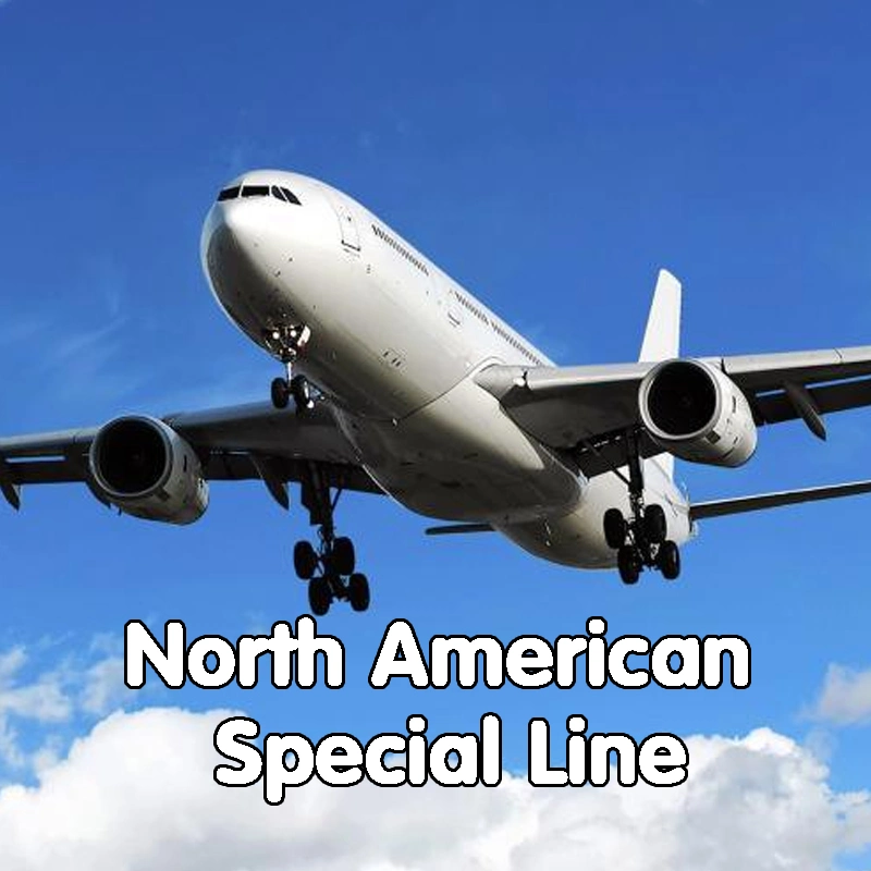 Best Seller Free Cargo Consolidation DDU DDP Shipping Air Freight From China to USA/Canada/Mexico