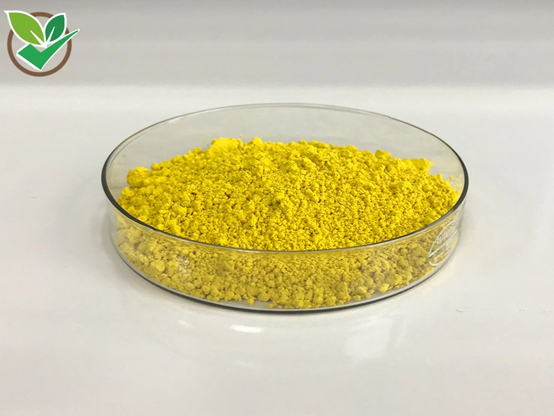 Berberis Aristata root extract Berberine HCL /Berberine هيدروكلوريد بنسبة 98% CAS 633-65-8