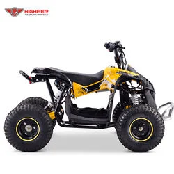 Nuevo Four-Wheel ATV de 1200W 48V 20Ah para niños Mini Quad