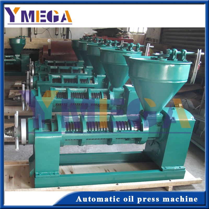 Low Temperature Oil Production Automatic Screw Cold Press