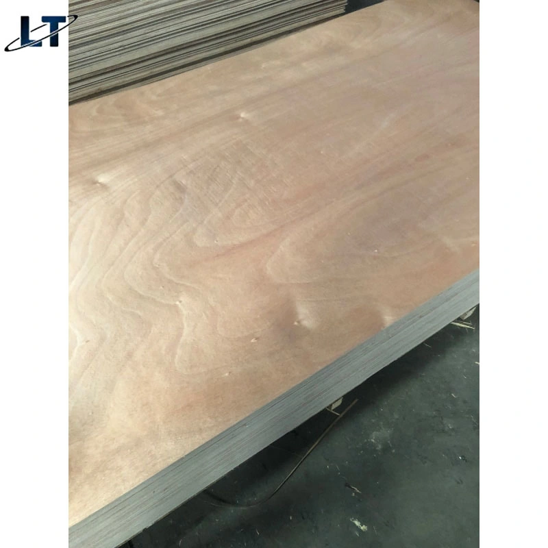 Linyimany Types Construction Decoration Maple Hardwood Wood Timber