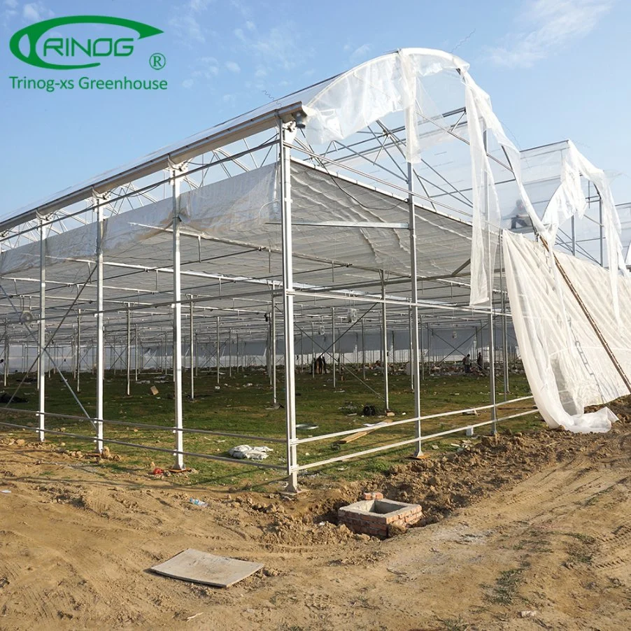 South Africa plastic film arch greenhouse for nursery young plant