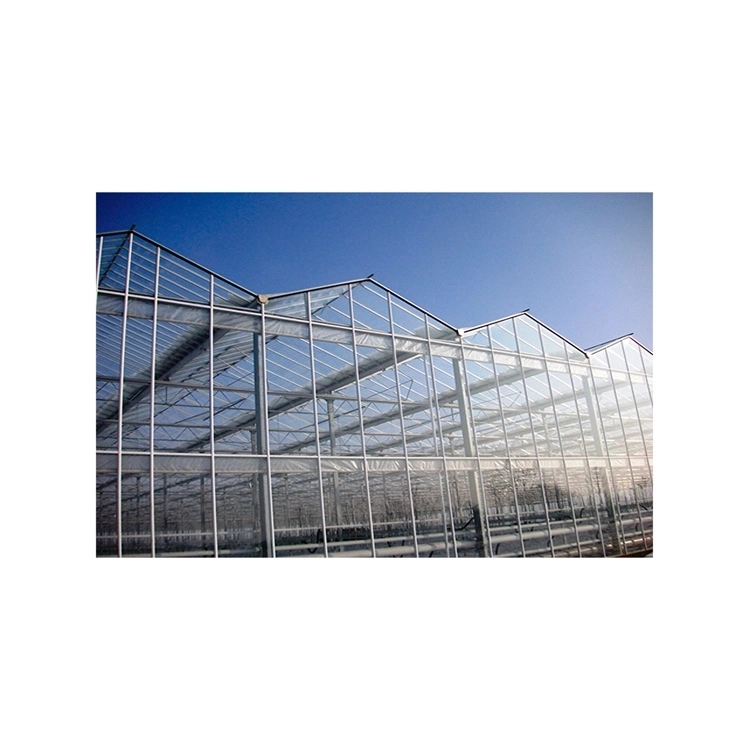 Modern Multi-Span Plastic Film/ Glass/ Polycarbonate Hydroponic Greenhouse for Agriculture