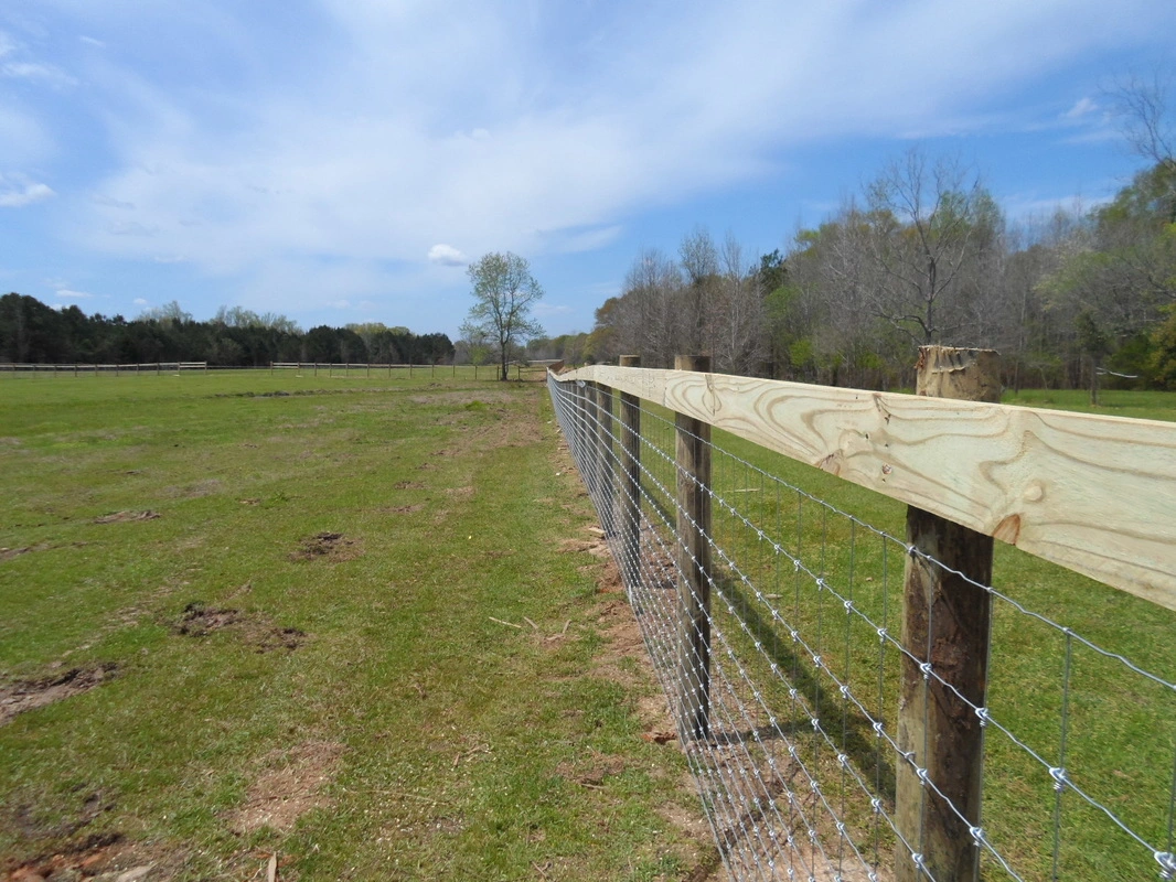 سياج قفل الوزن المجلفن Netting for Deer/Sheep Farm/Fled/Deer Wire Mesh Fence