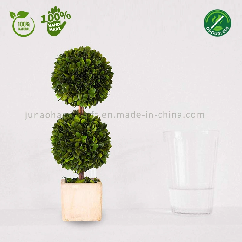 100% Natural Preserved Boxwood Topiary Bonsai Modern Greenery Plant Double Balls Tree Ornaments