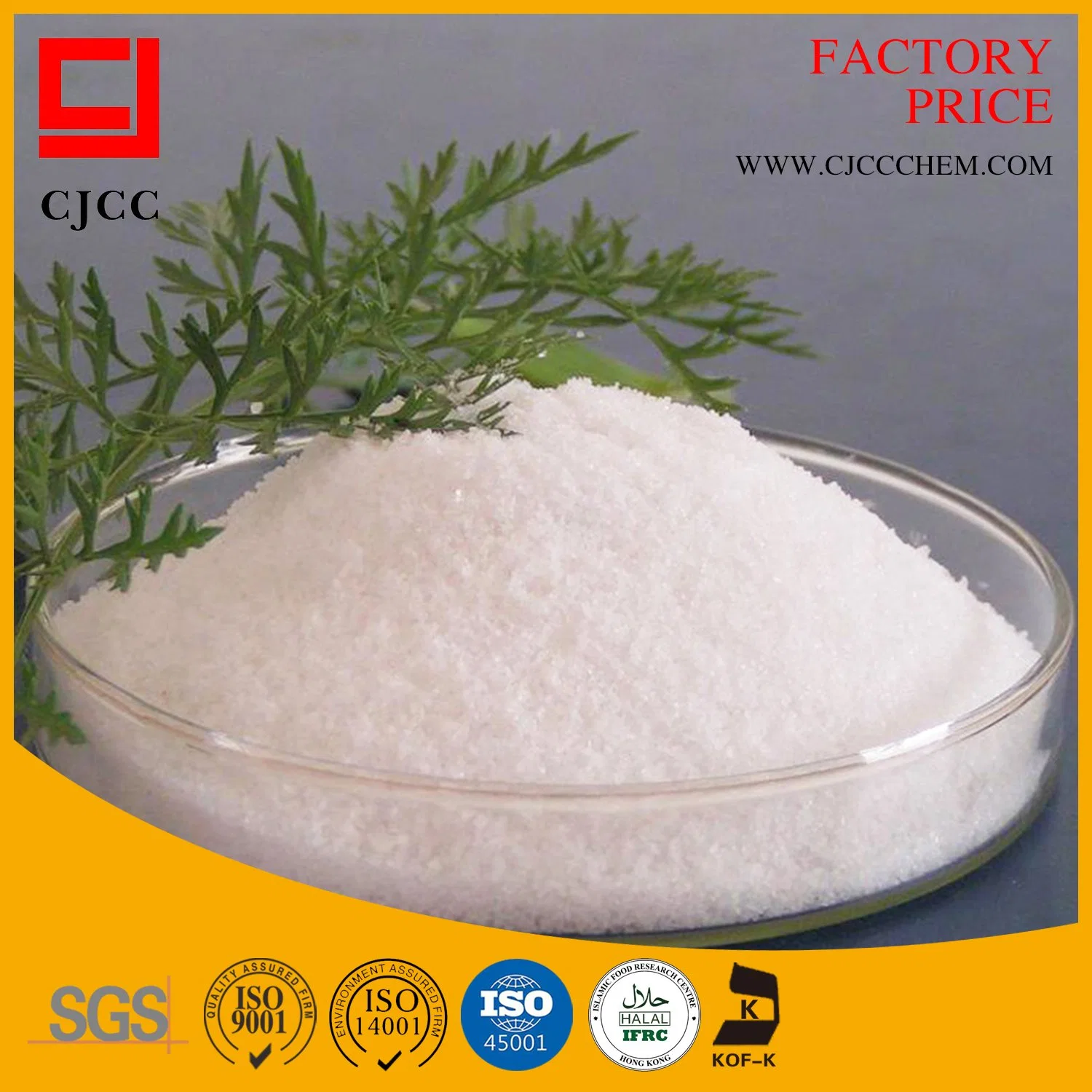 Polymer Flocculant Nonionic Polyacrylamide PAM Powder Water Treatment CAS 9003-05-8