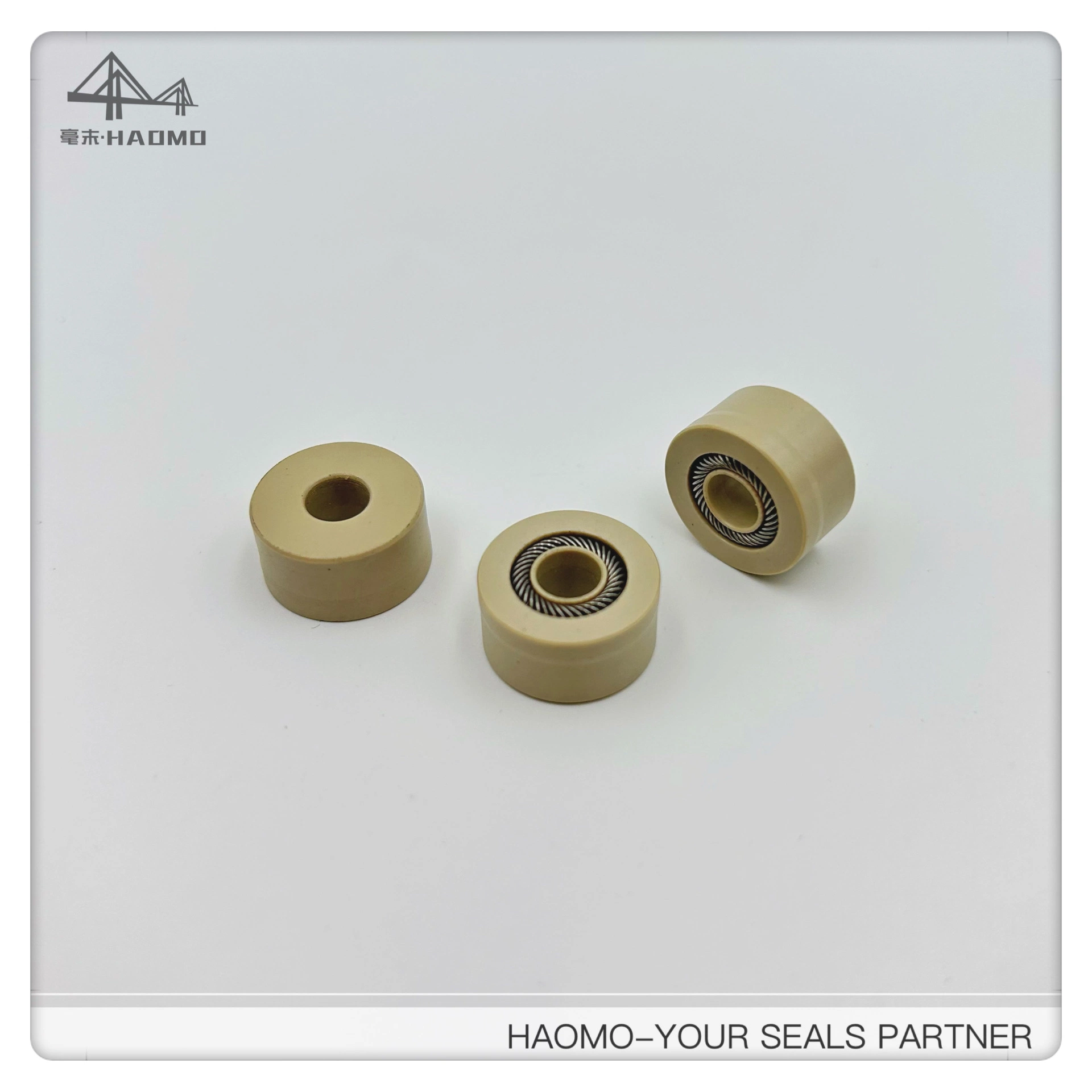 Spring Energized Seal for Upe Polymer Dispensing Machine Shaft Seal by Haomo