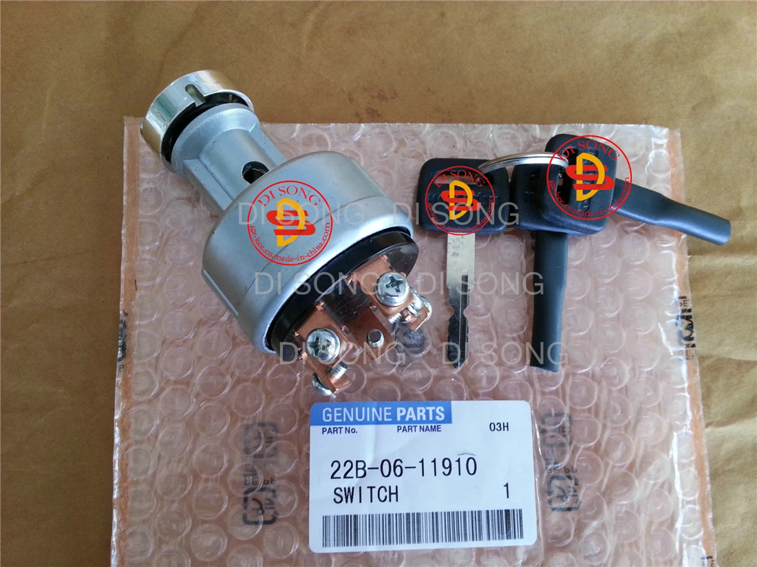 Excavator Spare Parts, Engine Parts for Switch 22b-06-11910