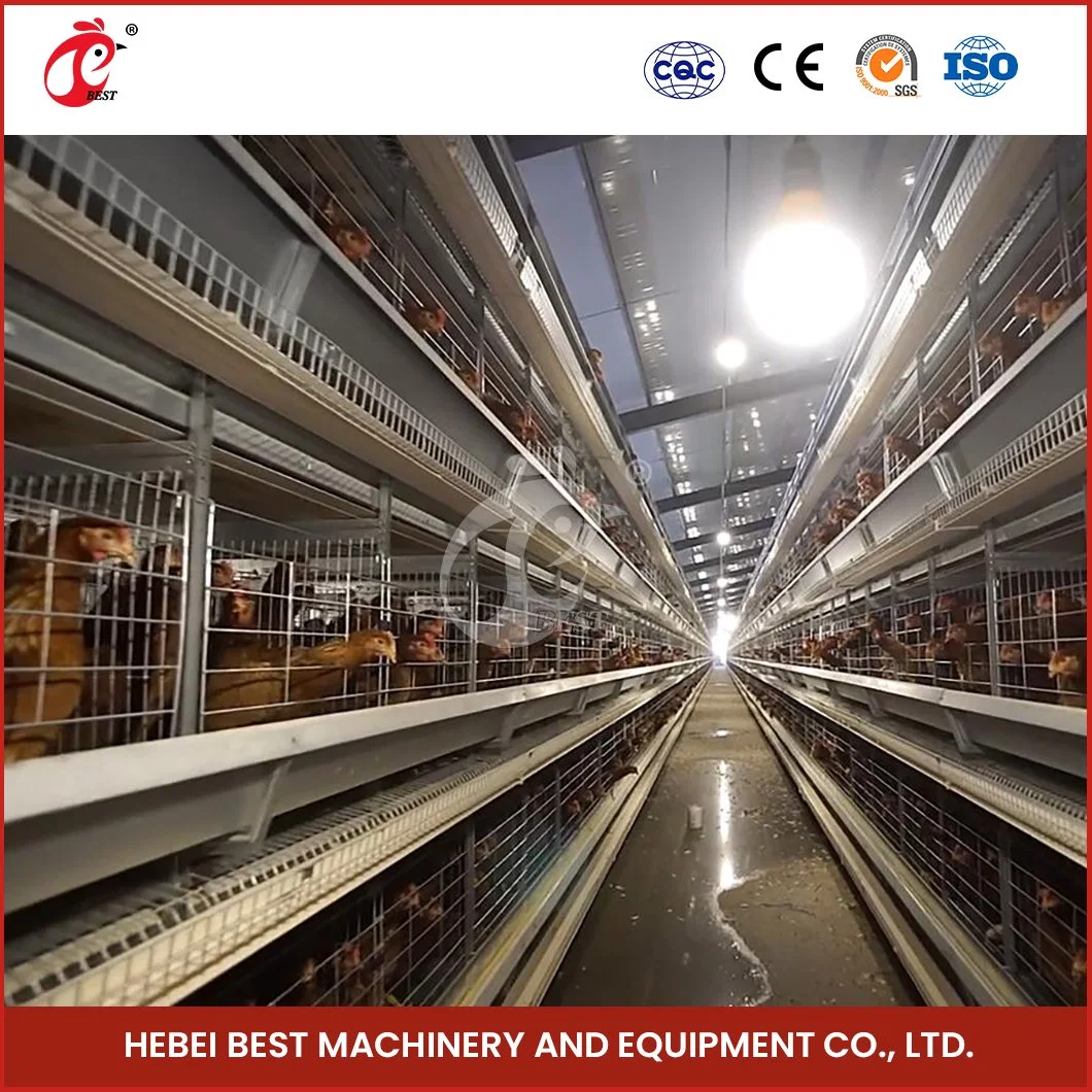 Bestchickencage H Frame Broiler Cages China Metal Chicken Coop Wholesale/Supplierr Good Ventilate Design Automatic Temperature Broiler House