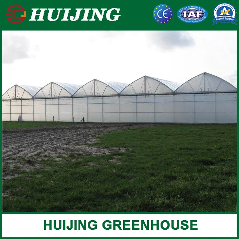 High quality/High cost performance Multi Span Film Po/PE Plastic Agriculture Green House Solution