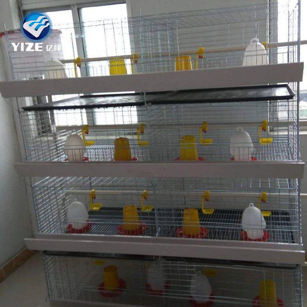 Animaux et de l'équipement d'élevage de volailles d'une batterie de type Cage Coop de poulet Poulet à griller des cages de la couche ou