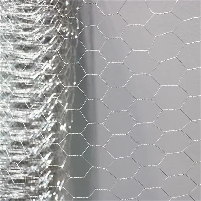 Popular Product Original Factory Supply Galvanized Hexagonal Wire Mesh