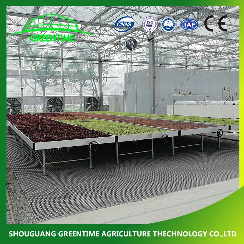 Seeding Einstellbare hydroponic 4X8 Rolling Flood Table für Gewächshaus