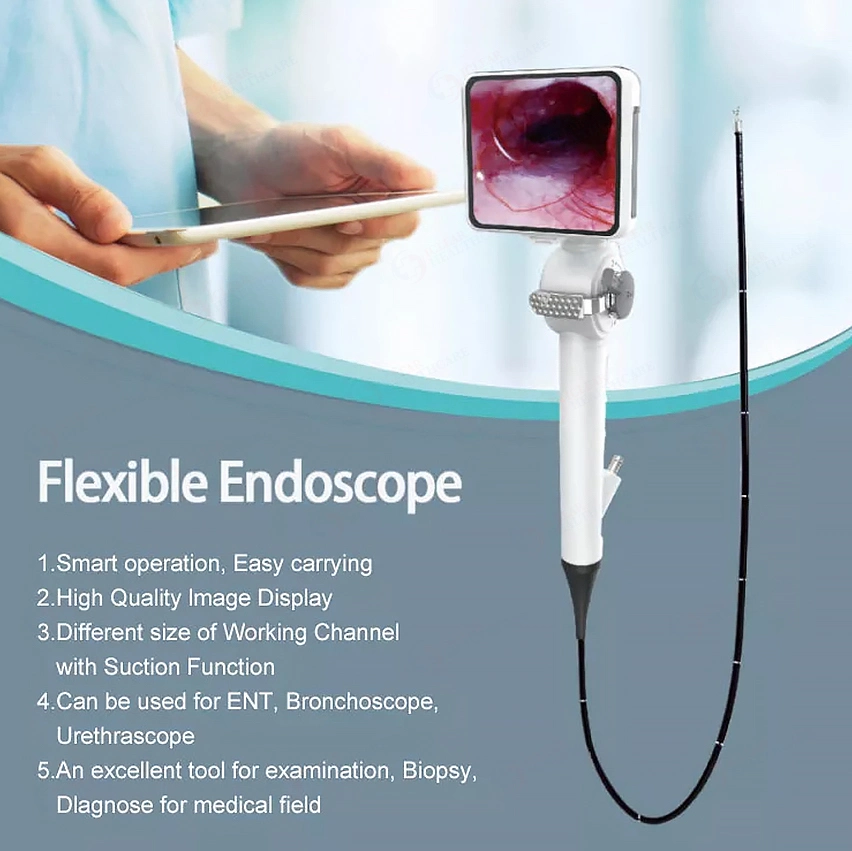 Système d'imagerie de l'endoscope portable à usage vétérinaire Animal endoscope vidéo souple